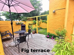 The FIG Studio - 